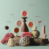 Mineral Tint - Dune