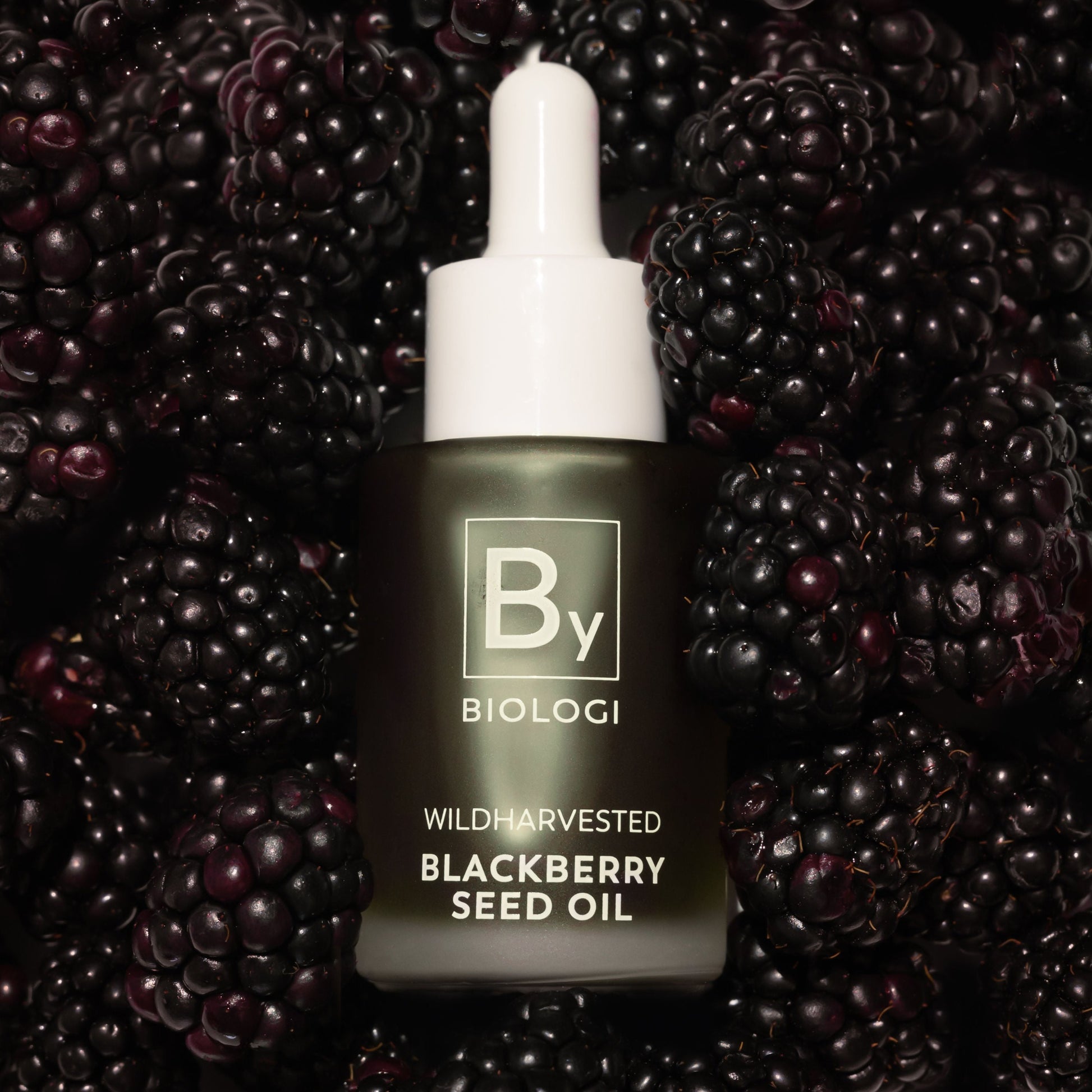 Biologi By Blackberry Seed Oil with blackberry fruit- Margot Body